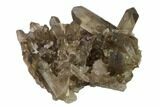 Smoky Quartz Crystal Cluster - Brazil #134949-1